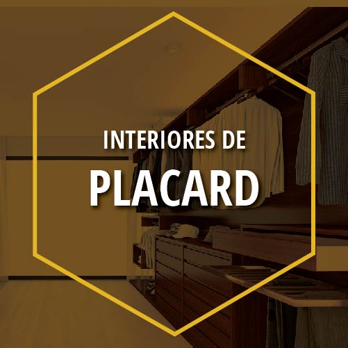 INTERIORES DE PLACARD